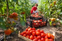 Loyauté alimentaire : bonnes pratiques et mises en garde